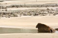 Sandy UK beach at low tide with rock pools