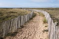 Walkway to the beach Royalty Free Stock Photo