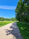 Sandy walkway with the tree\'s shadow