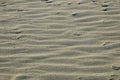 Sandy waves background