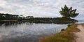 Sandy wild beach at Biscarrosse lake in landes France