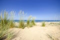 A sandy wild beach