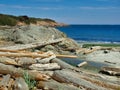 Sandy Willows beach with driftwood strewn along the shore