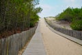 Sandy wooden path access sand beach in lege cap-ferret Atlantic coast in france Royalty Free Stock Photo