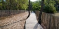 Sandy wooden pathway access sand beach in lege cap-ferret Atlantic west coast in france Royalty Free Stock Photo