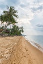 Sandyr beach at evening with coconut palm trees line