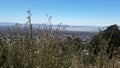 Sanfrancisco landscape Royalty Free Stock Photo