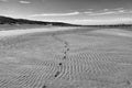 Footprints in the wet rippled sand on a beach in France Royalty Free Stock Photo