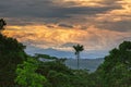 Sangay Volcano Rising Up From The Jungle