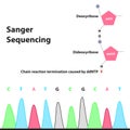 Sanger Sequencing dNTPs ddNTPs 2 Royalty Free Stock Photo