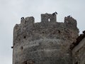 Sangineto - Castled castle tower