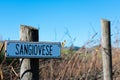 Sangiovese wine grape variety sign on wooden vertical end post Royalty Free Stock Photo