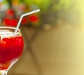 Sangria, spanish drink Red wine and fruit Royalty Free Stock Photo