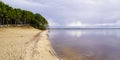 Sanguinet lake forest with sand beach water in cloudy day