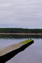 Sanguinet lake wooden pontoon in France landes Travel and Vacation Royalty Free Stock Photo