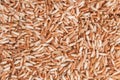 Sangyod brown organic rice Royalty Free Stock Photo