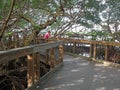 SANIBEL, FL - NOVEMBER 11: Wooden Boardwalk Ding Darling Wildlife Refuge Sanibel Island Florida 2018