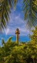 Sanibel Lighthouse Framed By Palm Trees