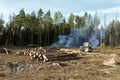 Sanitary logging (deforestation). Balashikha, Moscow region, Russia. Royalty Free Stock Photo