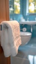 Sanitary measures Cleaning toilet handle with alcohol and soft cloth