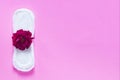 Sanitary napkin with red rose on it. On bright pink background. Period days concept showing feminine menstrual cycle Royalty Free Stock Photo