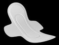 Sanitary pad for woman Royalty Free Stock Photo
