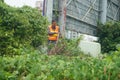 Sanitation worker dragged a bundle of dry wood