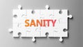 Sanity complex like a puzzle - pictured as word Sanity on a puzzle pieces to show that Sanity can be difficult and needs