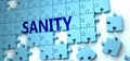 Sanity puzzle - complexity, difficulty, problems and challenges of a complicated concept idea pictured as a jigsaw puzzle tiles