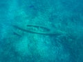 Sank boat lie on the rocky seabed Royalty Free Stock Photo