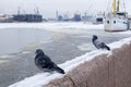 St. Petersburg, Russia. February 08, 2020. View of the ship, shipyard, area the waters of the Neva