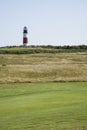 Sankaty Head Lighthouse Golf