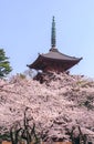 Sankei-en garden location