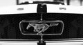 Front view of Classic retro Ford Mustang GT logo with running horse. Car exterior details. Black and white. Royalty Free Stock Photo