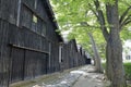 Sankyo warehouse and zelkova trees Royalty Free Stock Photo