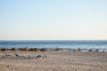 Sanlucar de Barrameda beach. Cadiz. Andalusia. Spain. August 25, 2019