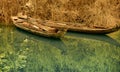 Boats on  the muddy Yangtze Royalty Free Stock Photo