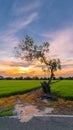 Sanphet Prasat Palace, Ancient City, Bangkok, Royalty Free Stock Photo