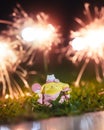 Sanrio figurine with fireworks made of sparklers in the background