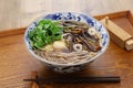 Sansai soba, japanese buckwheat noodle soup with mountain vegetables Royalty Free Stock Photo