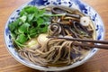 Sansai soba, japanese buckwheat noodle soup with mountain vegetables