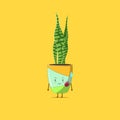 Sansevieria plant character got slap isolated on yellow background. Sansevieria plant character emoticon illustration Royalty Free Stock Photo