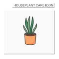 Sansevieria trifasciata color icon