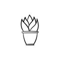 Sansevieria trifasciata hand drawn sketch icon.