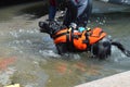 Sant`Antioco, Sardinia - Lifeguard dog Royalty Free Stock Photo