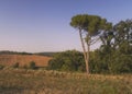 Sant Celoni nature , Spain Royalty Free Stock Photo