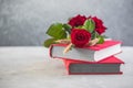 Sant Jordi, the Catalan name for Saint George Day, when it is tradition to give red roses and books in Catalonia, Spain Royalty Free Stock Photo