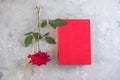 Sant Jordi, the Catalan name for Saint George Day, when it is tradition to give red roses and books in Catalonia, Spain Royalty Free Stock Photo