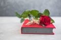 Sant Jordi, the Catalan name for Saint George Day, when it is tradition to give red roses and books in Catalonia, Spain Royalty Free Stock Photo