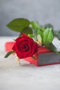 Sant Jordi, the Catalan name for Saint George Day, when it is tradition to give red roses and books in Catalonia, Spain Royalty Free Stock Photo